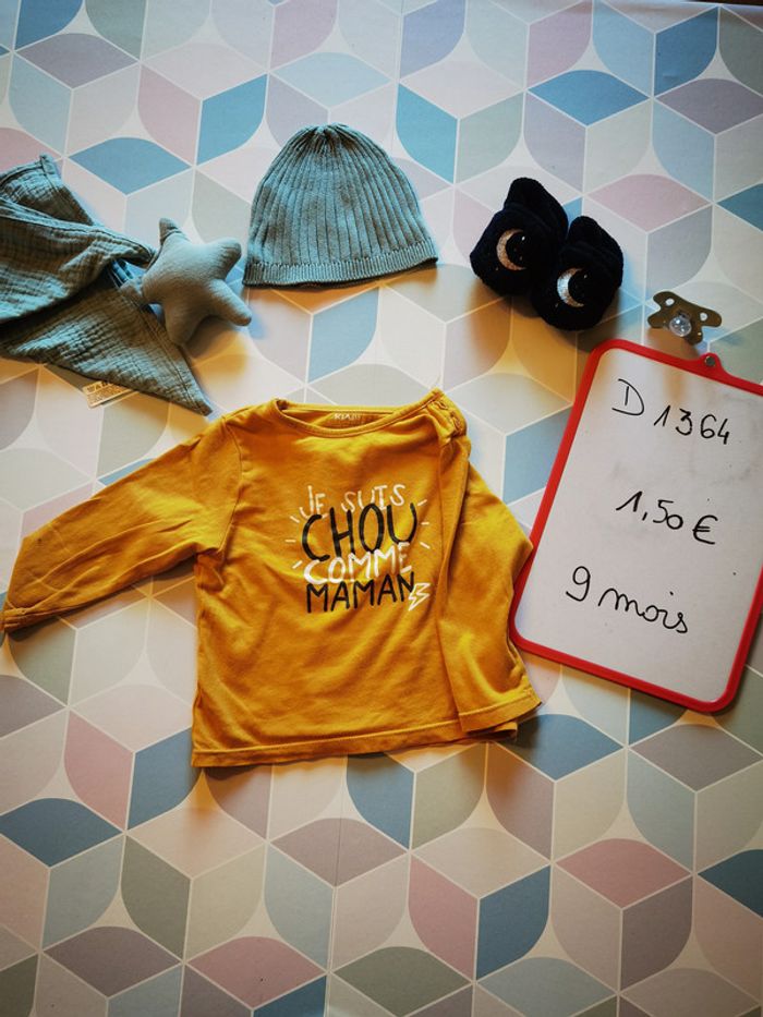 D1364 - tee-shirt garçon 9 mois