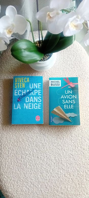 Lot de 2 romans
