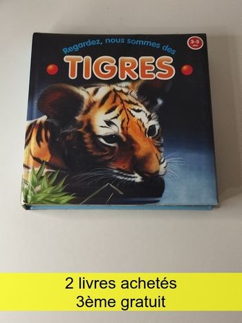 Livre enfant 3 5 ans regardez nous sommes tigres