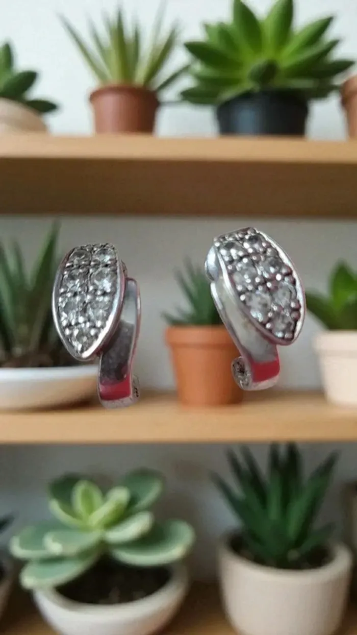 Jolies boucles d'oreilles