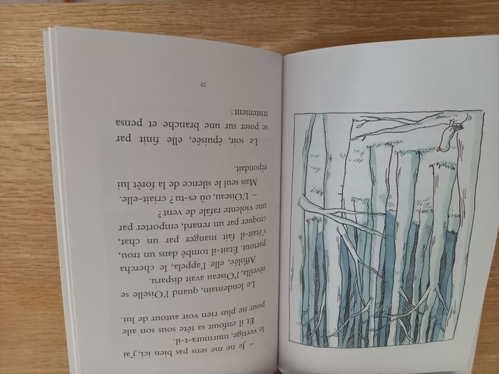 Oiseau Oiselle dès 6 ans - Neuf - photo numéro 3