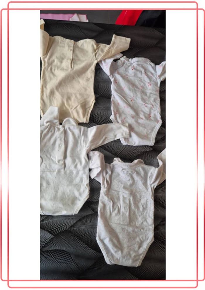 Lot de 4 bodies - photo numéro 2