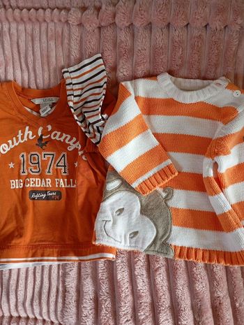 Lot1 tee shirt manches longues et 1 pull 6 mois