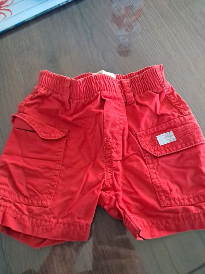 Short 6 mois timberland