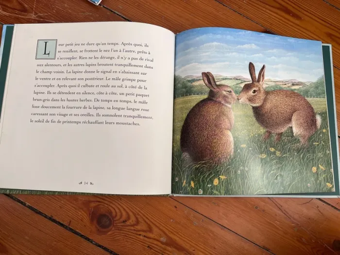 Livre « la vie des animaux » Les lapins - photo numéro 3