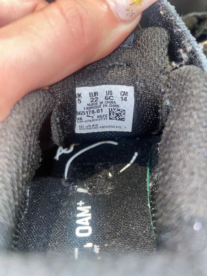 Puma noir - photo numéro 5