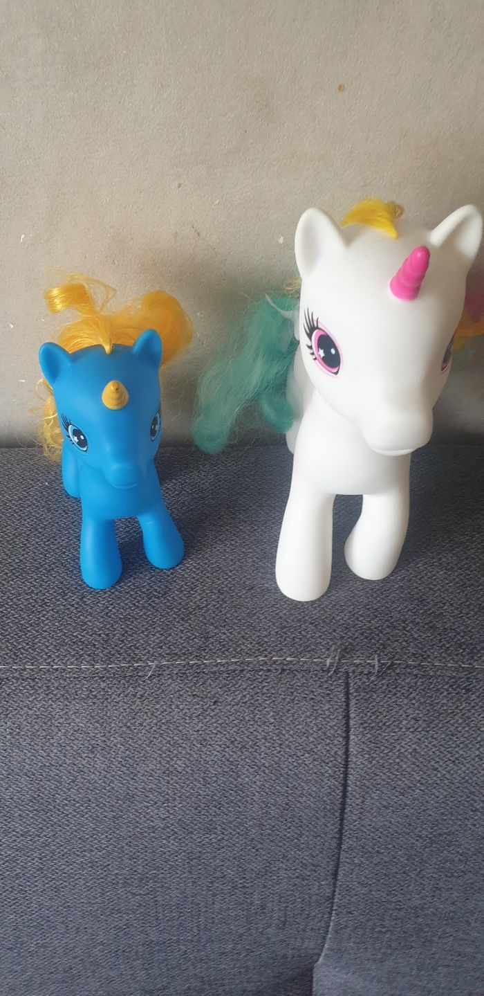2 petits poneys