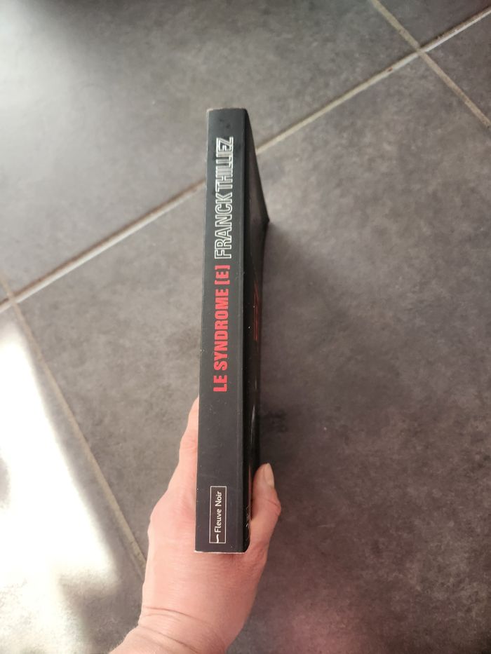 Syndrome E de Franck Thilliez - photo numéro 6