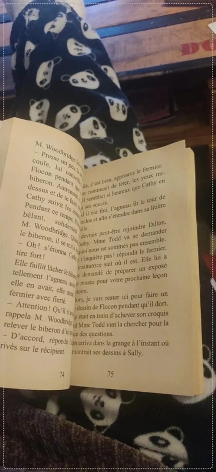 Flocon fait des caprices - photo numéro 6