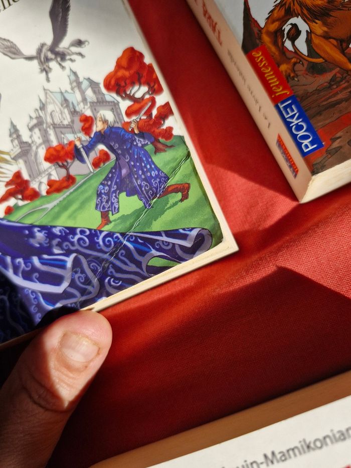 Saga Tara Duncan 5 tomes - photo numéro 7