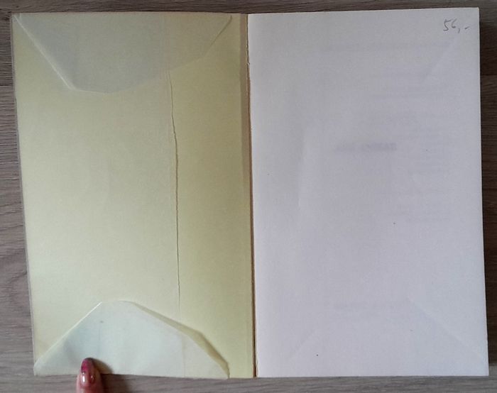 ave caesar - michèle perrein - photo numéro 5