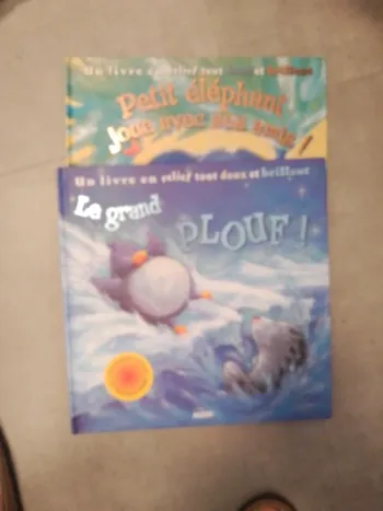 Lot de 2 albums