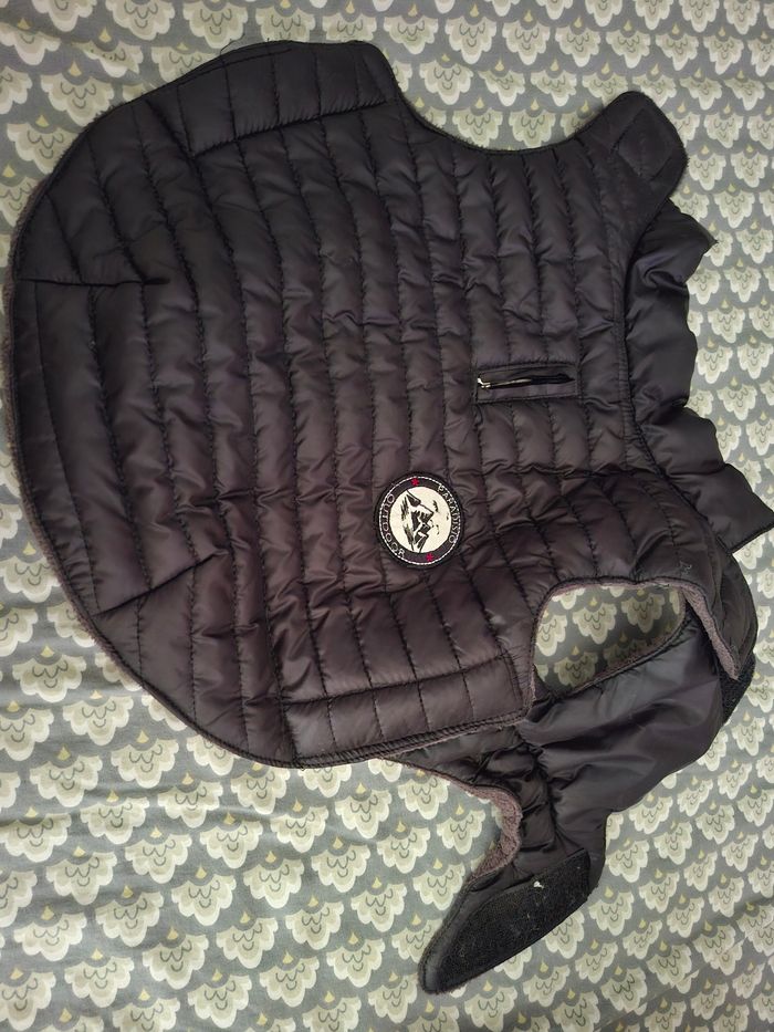 Manteau chien 🐕