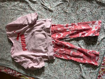 Ensemble puma