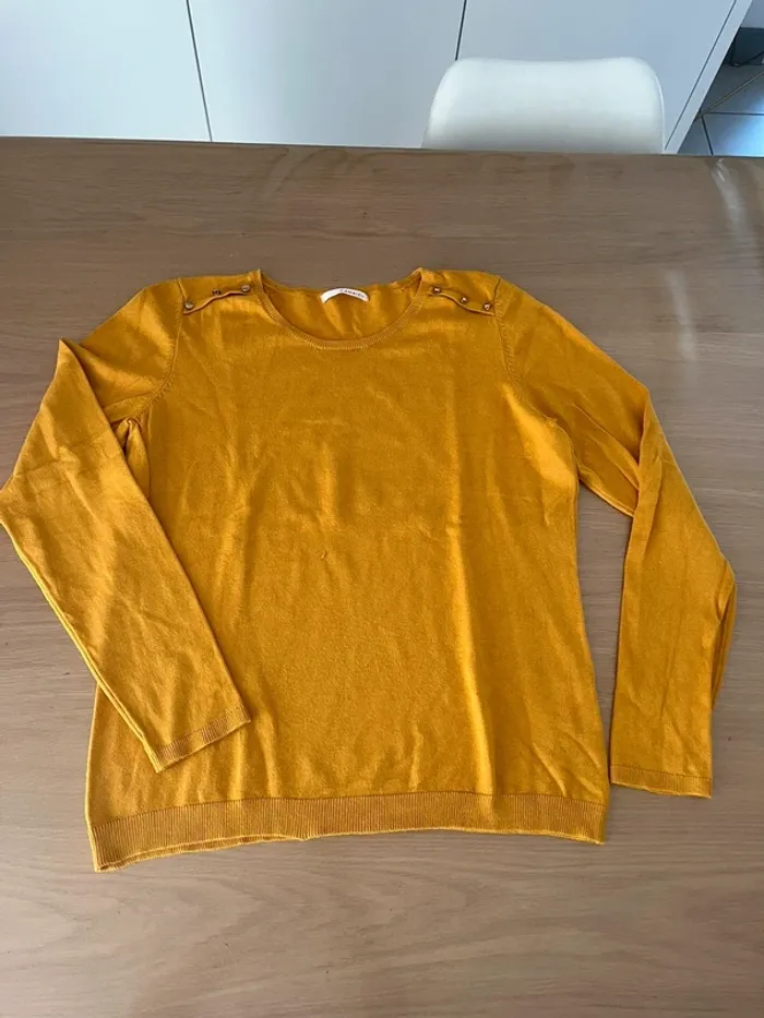 Pull camaïeu