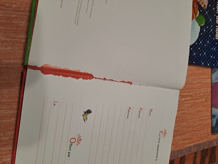 Martine lot 3 livres - photo numéro 6