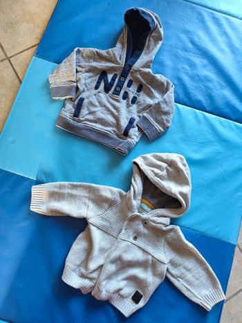 1 pull à capuche 1 veste a capuche 12 mois