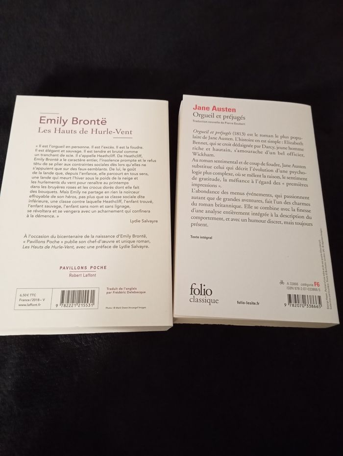Livres les hauts de hurle-vent et Orgueil et préjugés - photo numéro 2