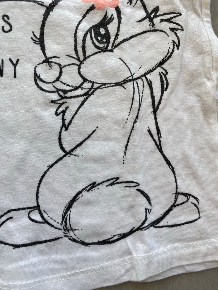 Tee shirt Miss Bunny Pan Pan Neuf 24 mois - photo numéro 6