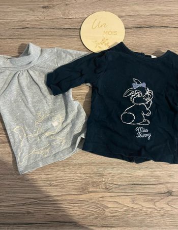 2 pulls manche longue Disney