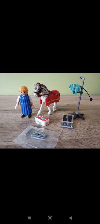 Vétérinaire cheval playmobil