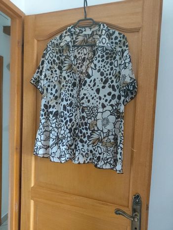 Chemise transparente