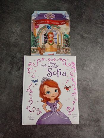 Lot livres princesse Sofia