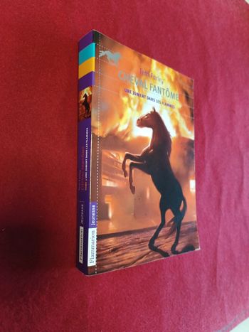 Cheval fantôme Tome 3 " Une jument dans les flammes " Terri Farley