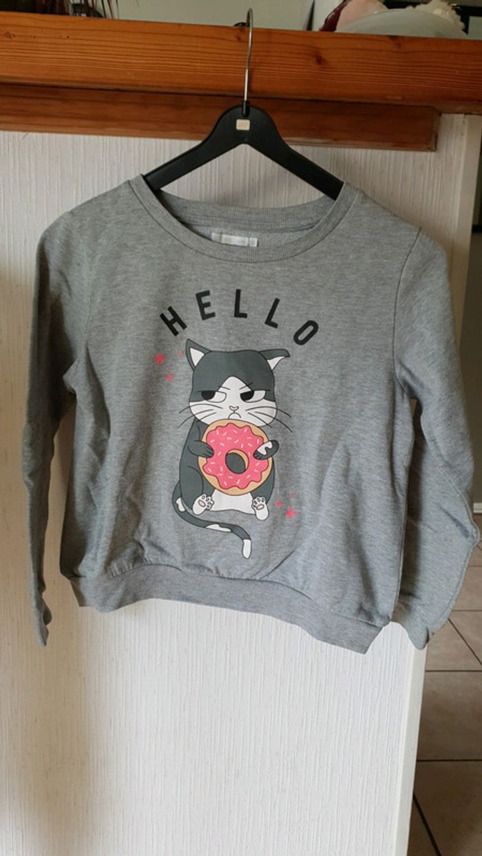 Pull Gemo 12 ans