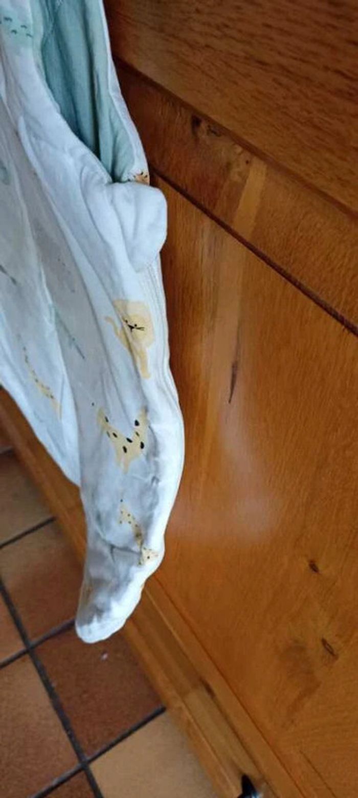 Gigoteuse - photo numéro 4