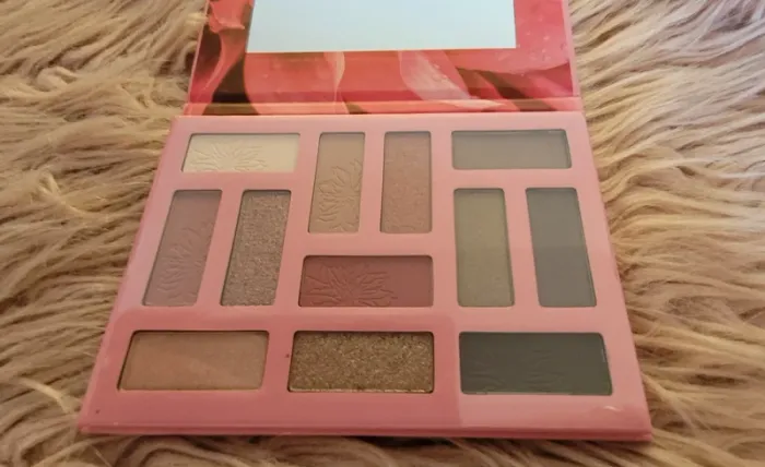 Palette out in the wild essence - photo numéro 2