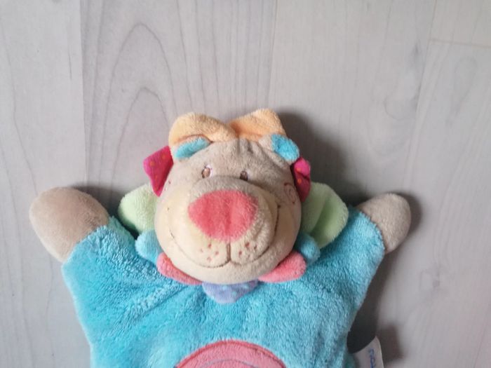 Lion oasis - photo numéro 2