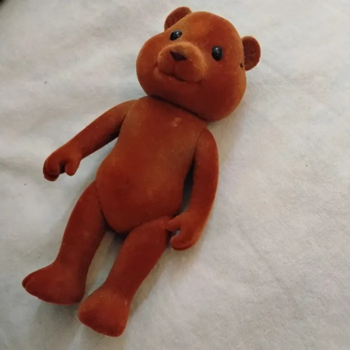Ours 🐻 - photo numéro 6