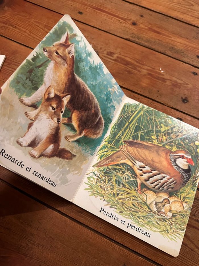 Livre album imagier carton ancien vintage à la campagne animaux forêt Hemma collection Aurore - photo numéro 4