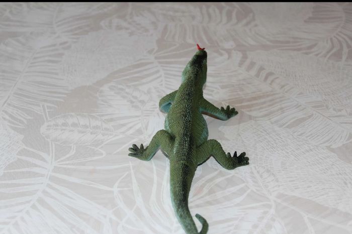 dinosaure iguane - photo numéro 3