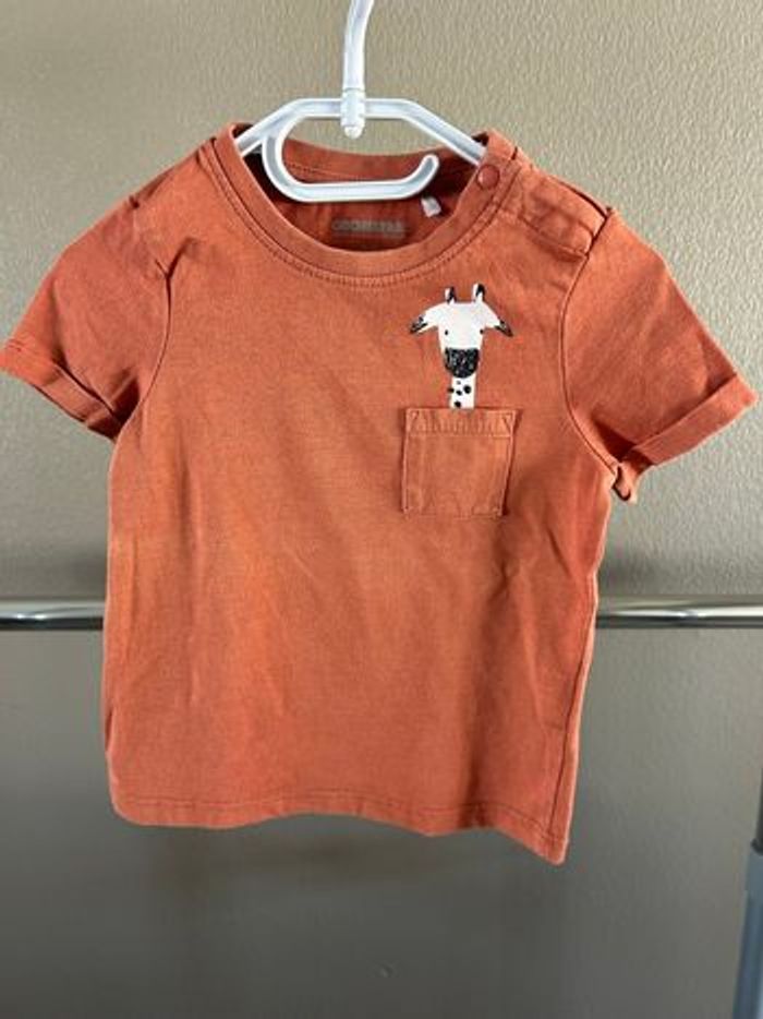 Lot 7 tee-shirts 12 mois - photo numéro 3