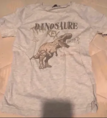 Tee-shirts rex