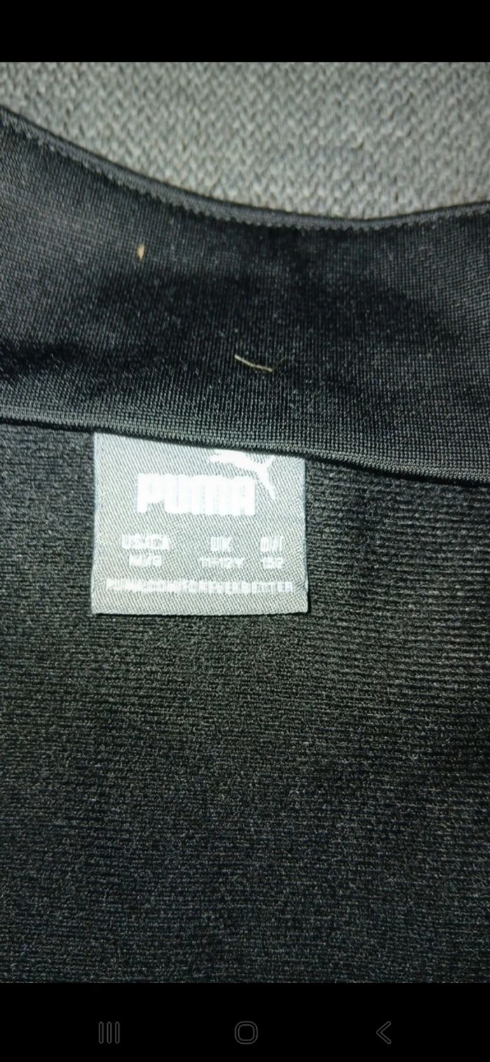 Sweet puma - photo numéro 10