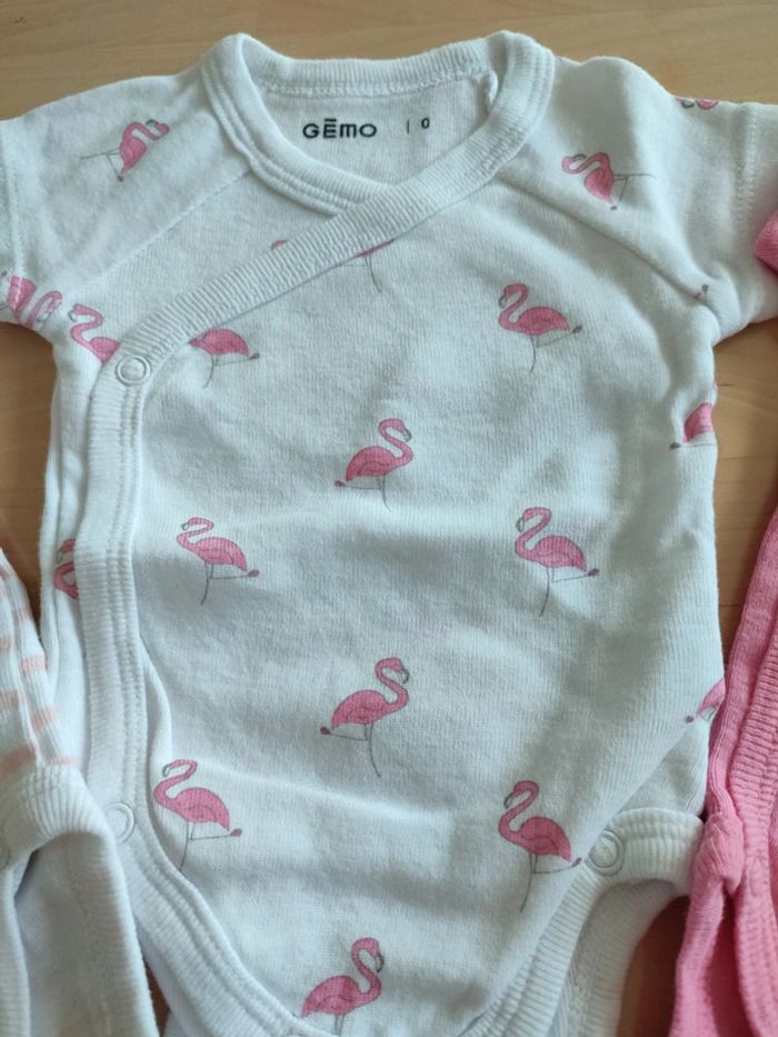 Lot de 3 bodies MC Gémo neuf - photo numéro 3