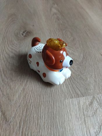 Toutou le chien tout fou