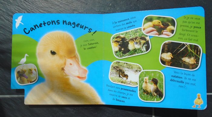 Joli livre "les bébés animaux" - photo numéro 6