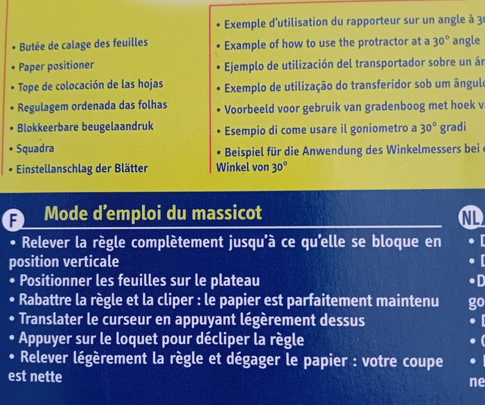 Massicot - photo numéro 4