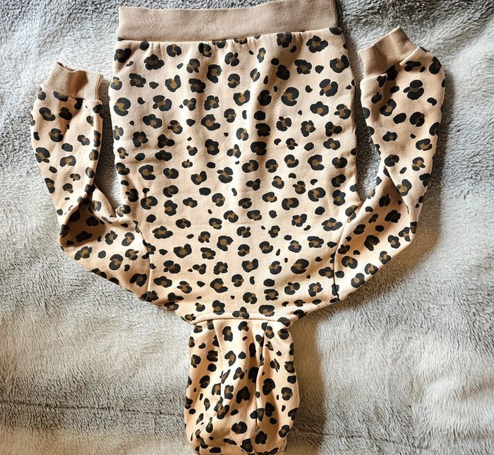 Veste à capuche zippé taille 5ans - photo numéro 2