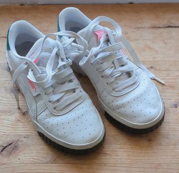 Basket puma