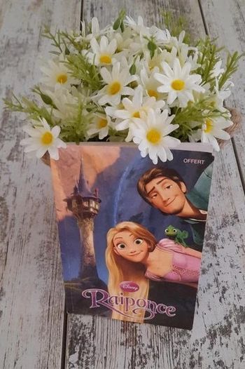 Livre Disney Raiponce très bon état