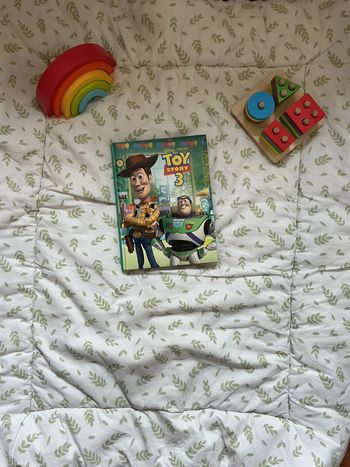 livre Disney Toy story 3 collection France loisirs