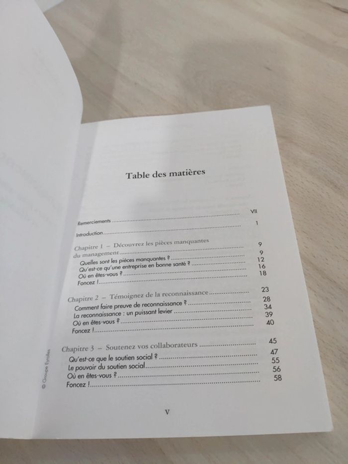 Livre management équipe 7 leviers améliorer bien être efficacité professionnelle Brun - photo numéro 11