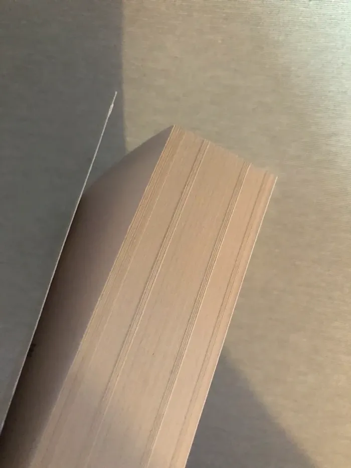 Livre Juliette de Anne Fortier roman - photo numéro 2
