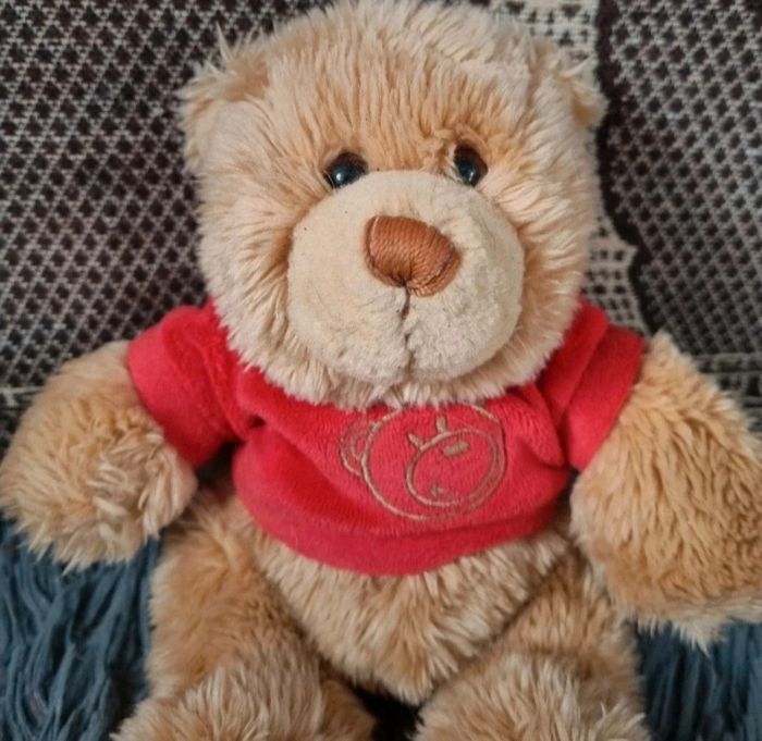 Peluche ourson avec t-shirt - photo numéro 2