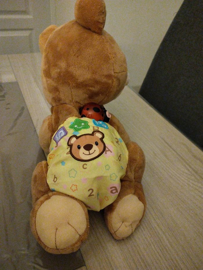 Ourson quatre pattes - photo numéro 4